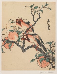 ザクロと鳥、c.1840（カラー木版画） 作： Keisai Eisen